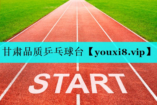 甘肃品质乒乓球台