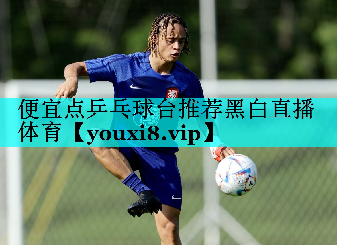便宜点乒乓球台推荐黑白直播 体育
