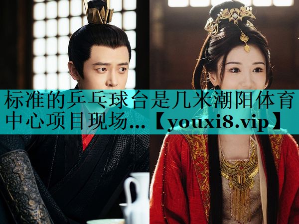 标准的乒乓球台是几米潮阳体育中心项目现场…