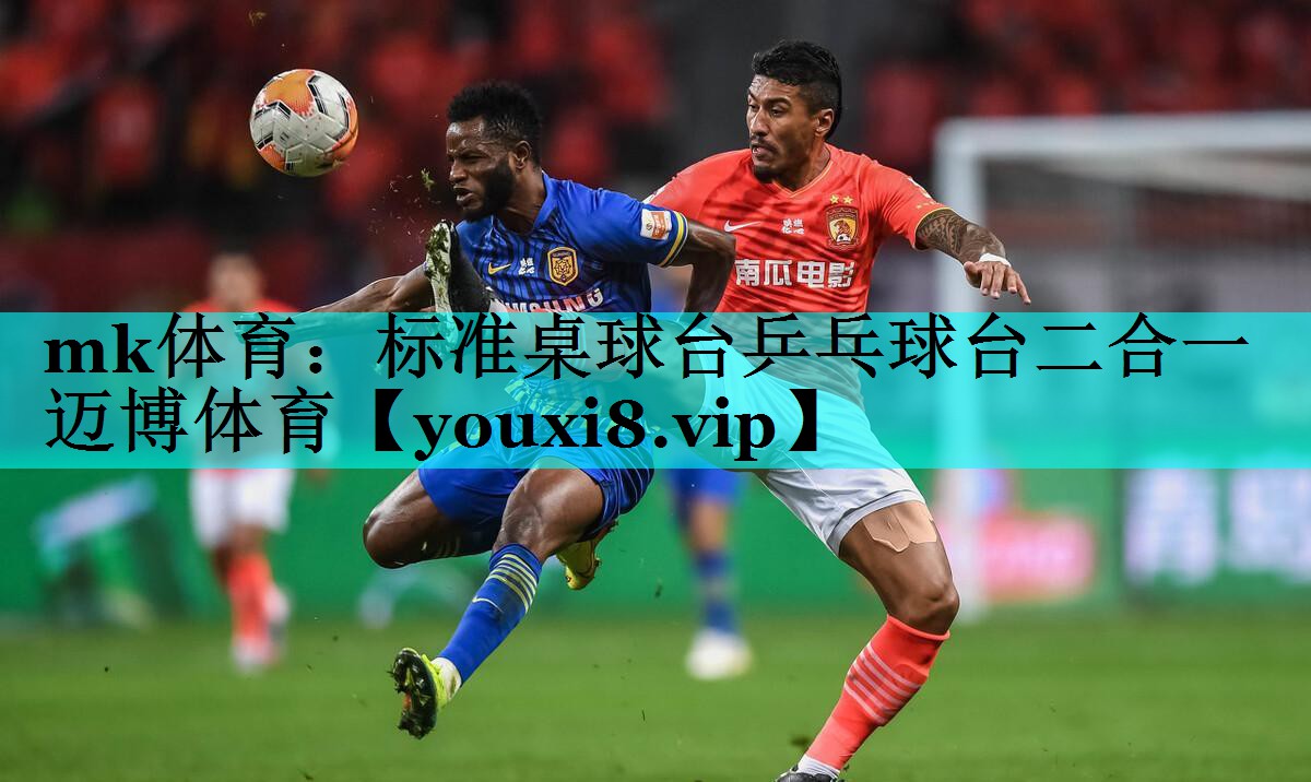 mk体育：标准桌球台乒乓球台二合一迈博体育