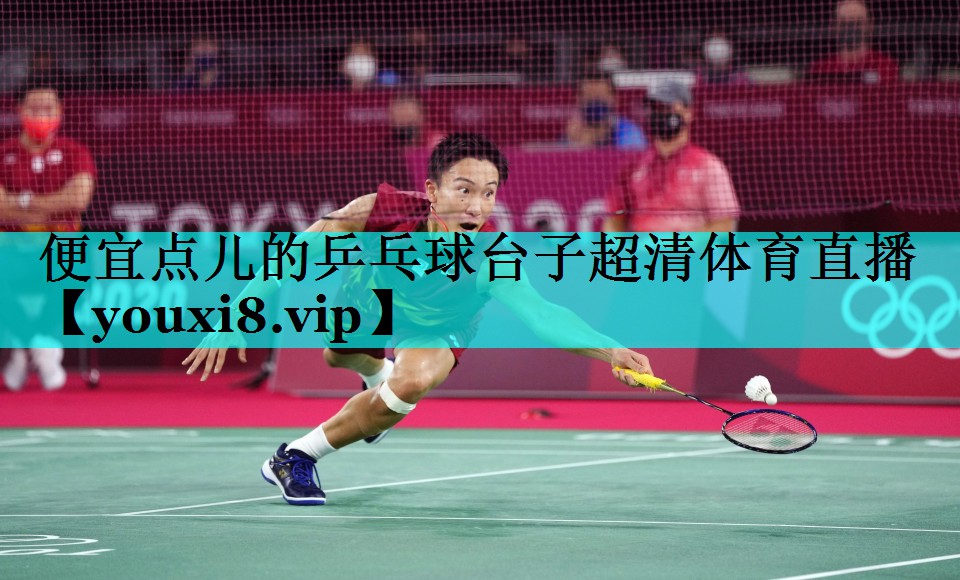 便宜点儿的乒乓球台子超清体育直播