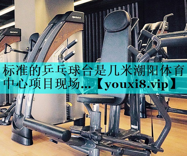 标准的乒乓球台是几米潮阳体育中心项目现场…