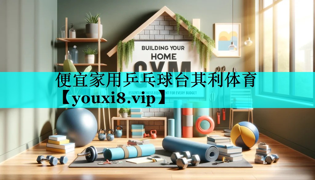 便宜家用乒乓球台其利体育