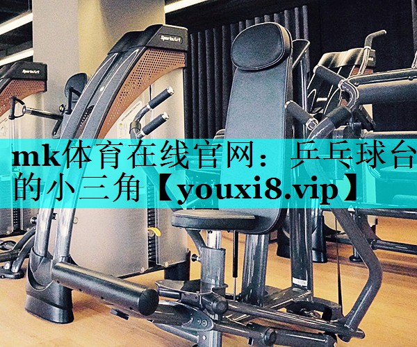 乒乓球台的小三角 乒乓球台的小三角