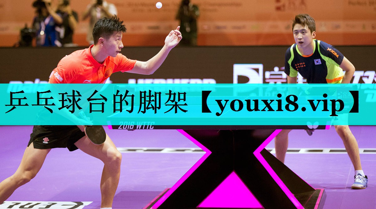 乒乓球台的脚架 乒乓球台的脚架