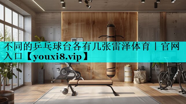 不同的乒乓球台各有几张雷泽体育｜官网入口
