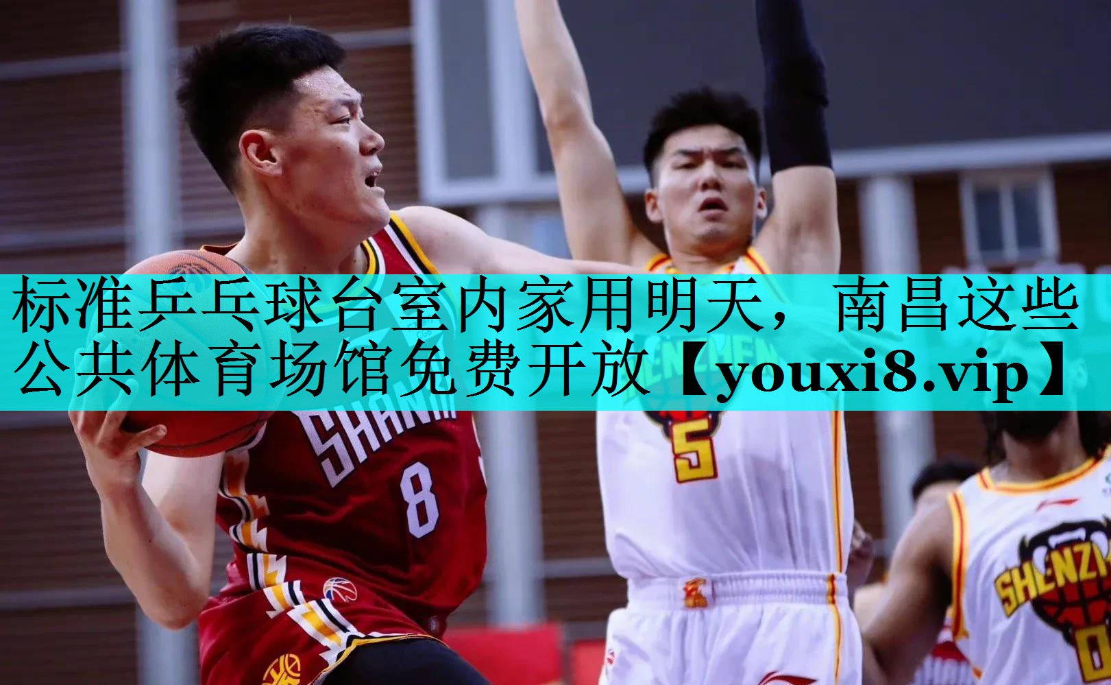 标准乒乓球台室内家用明天，南昌这些公共体育场馆免费开放