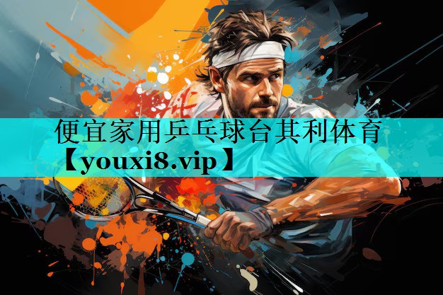 便宜家用乒乓球台其利体育