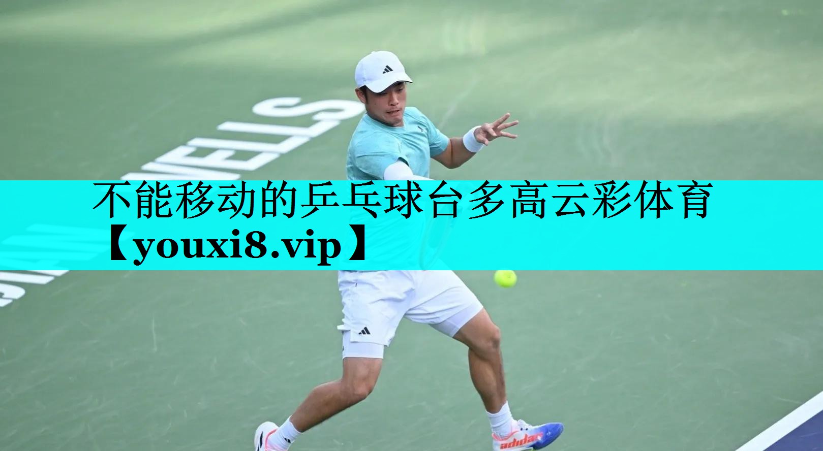不能移动的乒乓球台多高云彩体育