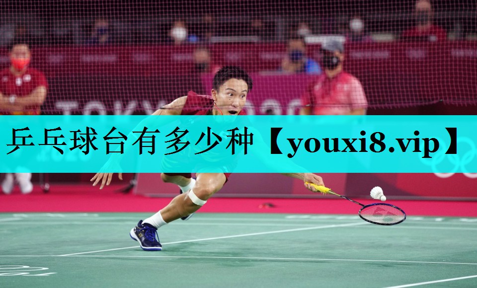 乒乓球台有多少种