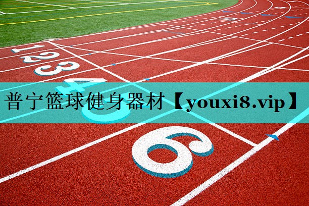 普宁篮球健身器材
