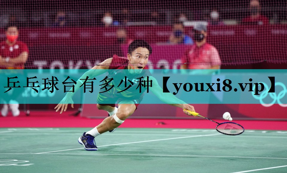 乒乓球台有多少种 乒乓球台有多少种