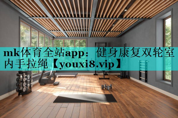 健身康复双轮室内手拉绳 健身康复双轮室内手拉绳