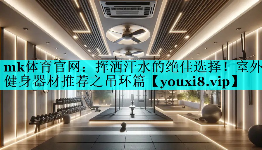 挥洒汗水的绝佳选择!室外健身器材推荐之吊环篇 挥洒汗水的绝佳选择!室外健身器材推荐之吊环篇