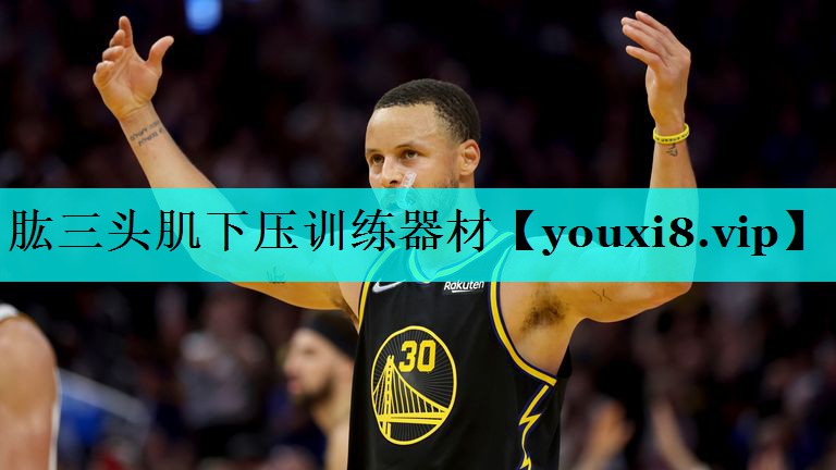 肱三头肌下压训练器材 肱三头肌下压训练器材