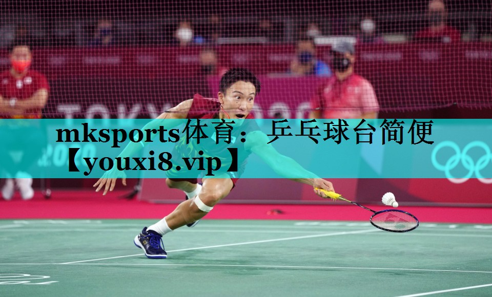 乒乓球台简便 乒乓球台简便